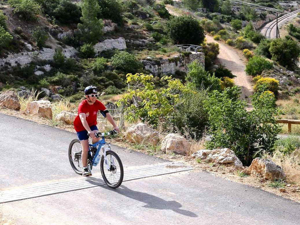 צילום: רונן טופלברג