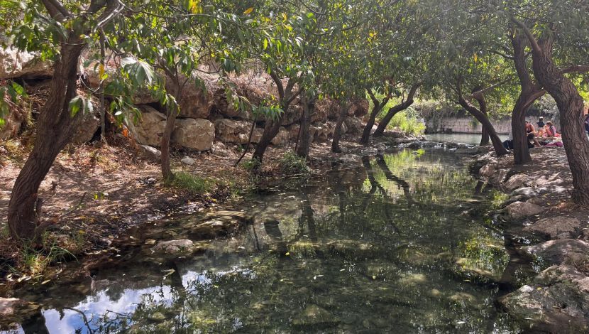 נחל ציפורי - יום כיף בעמק יזרעאל ונחל ציפורי: בין שבילים וסוסים (1)