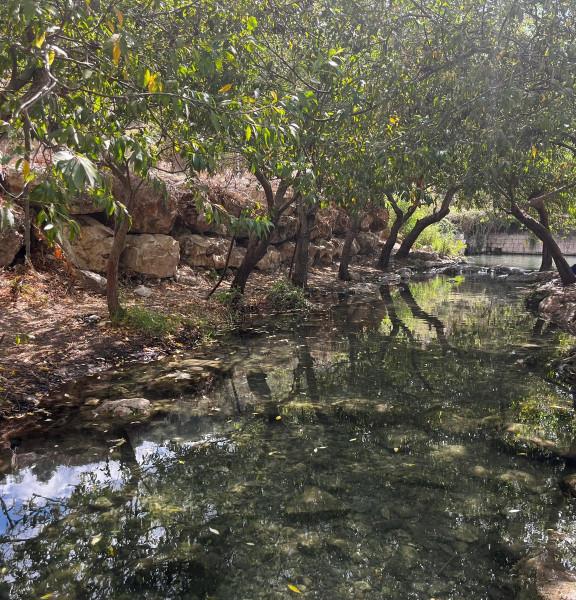 תמונה של יום כיף בעמק יזרעאל ונחל ציפורי: בין שבילים וסוסים - למטייל בישראל (טיולי)
