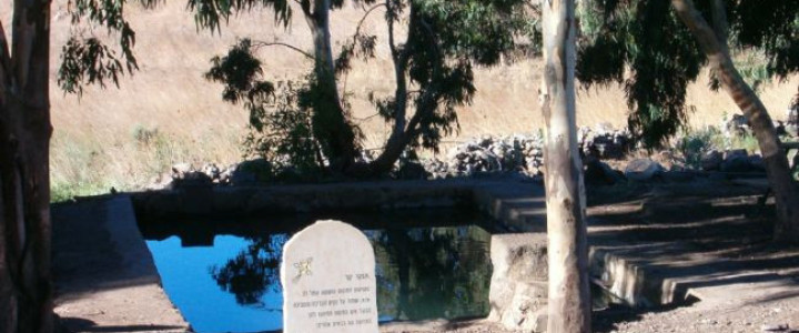 בריכת אורחה (1)