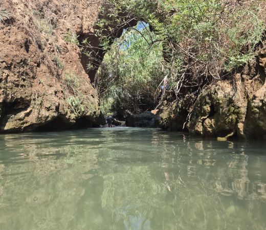 תמונה של גשר הטרוורטין בנחל צלמון תחתון - למטייל בישראל (טיולי)