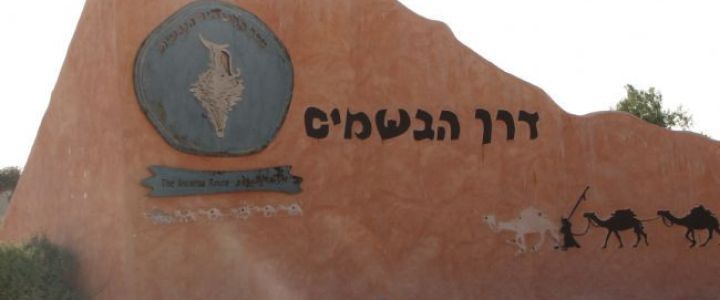 הכניסה לדרך הבשמים במואה - מואה (1)