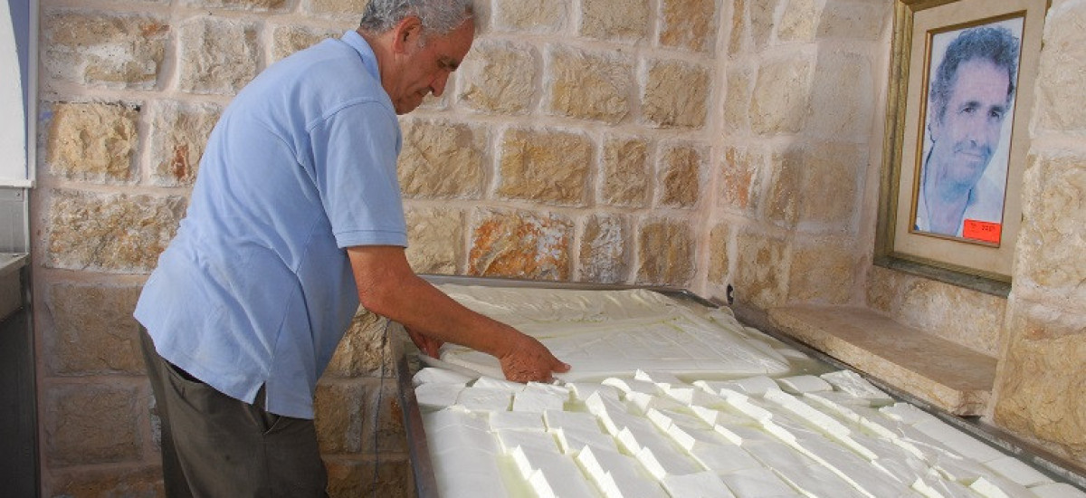 גבינות המאירי (1)