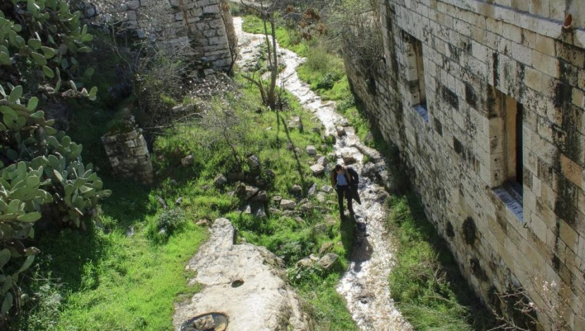 ליפתא – לכל אבן סיפור משלה (1)