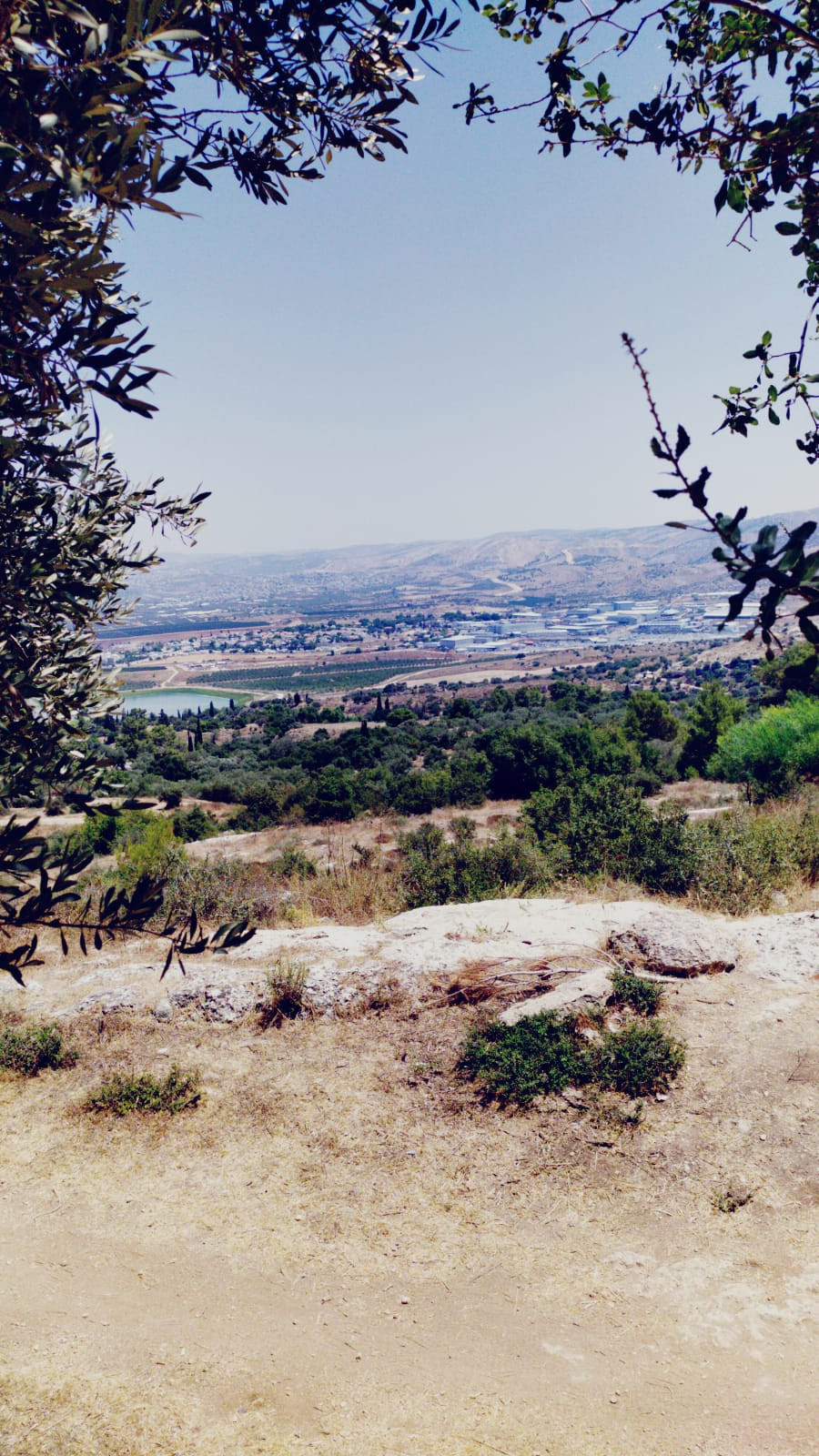 ליהנות מהנופים בתצפית מבוא חורון | צילום: תהילה ברדר