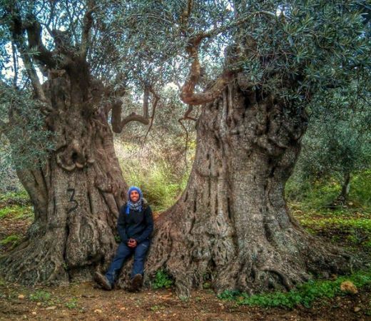 תמונה של טיול ולילה: שיר הלל לגליל התחתון - למטייל בישראל (טיולי)