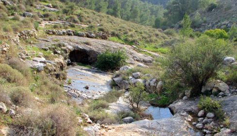 תמונה של נחל כרמילה ונחל כסלון - למטייל בישראל (טיולי)