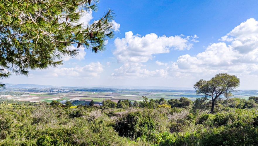 פסטורליה מסביב | צילום: בטן מלאה