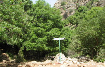 נחל שרך ונחל בצת (3)